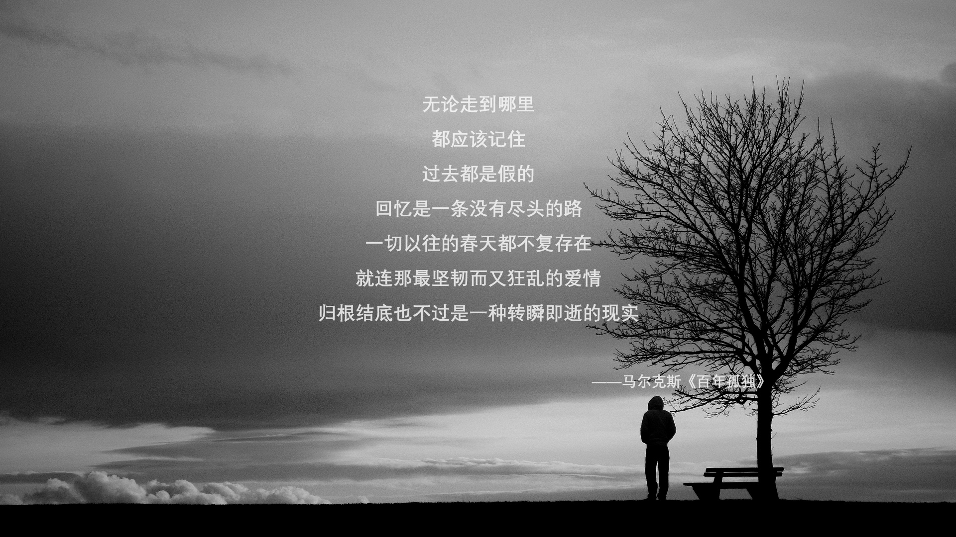 冠军之道：冠军球队的管理与战术策略，冠军足球攻略