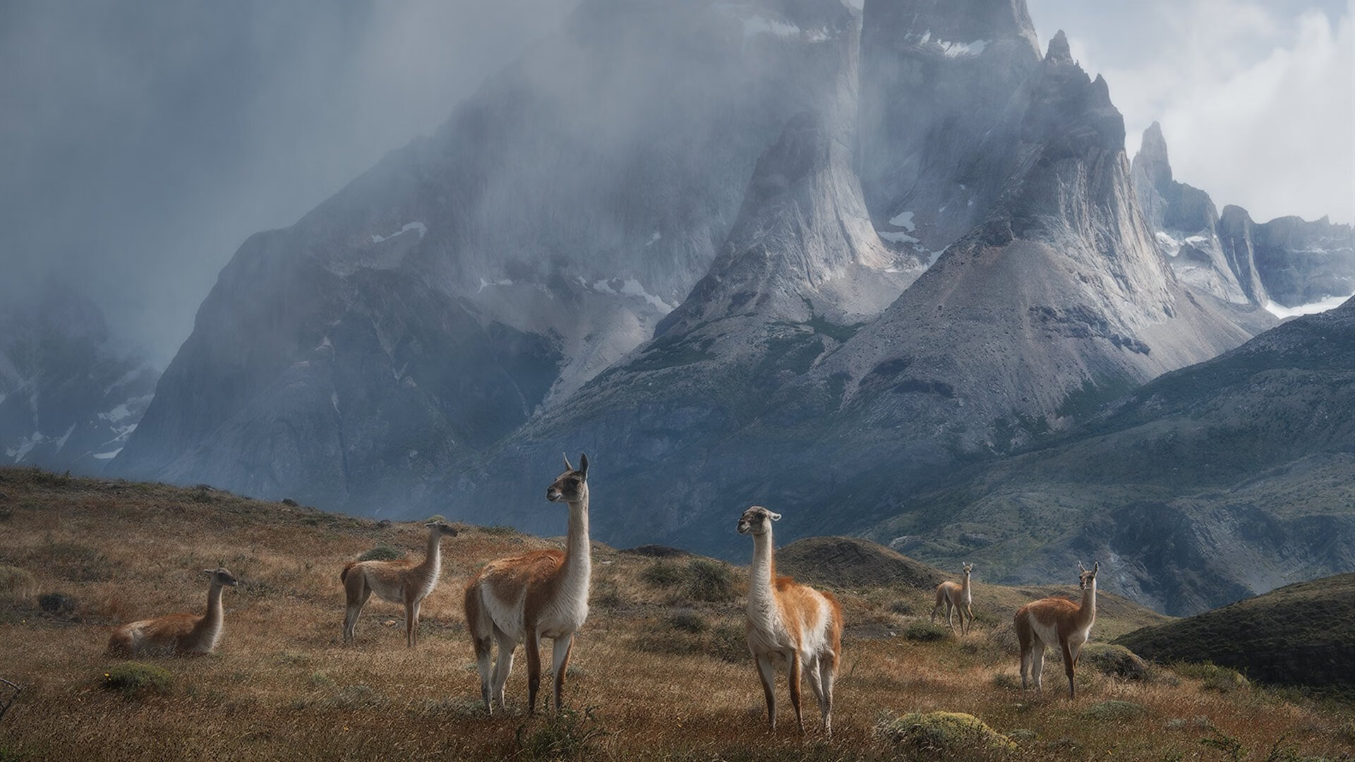 熊猫体育app官网-伊朗男排击败中国，三连冠加冕，伊朗男排主攻