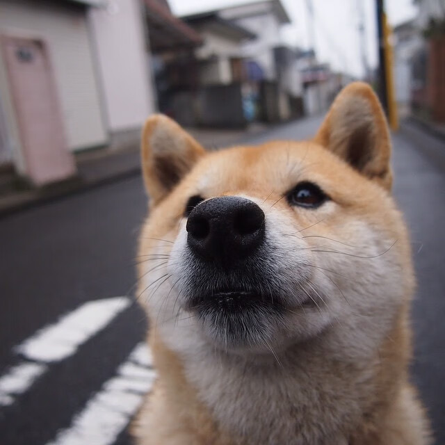 激战激情,亚冠比赛胜负谁能破解,激战的比赛叫什么