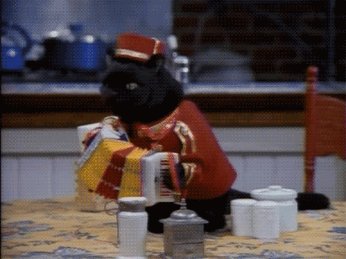 纽约自由人赛季连胜提升士气,纽约自由人wnba