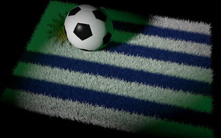 Panda Sports-中国足球国家队备战世界杯预选赛全面展开，中国足球队 世界杯预选赛